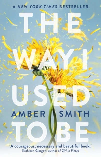 The Way I Used to Be; Amber Smith; 2023