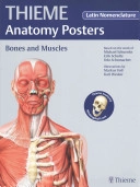 THIEME Anatomy Posters Bones and Muscles, Latin Nomeclature; Michael Schuenke, Erik Schulte; 2014