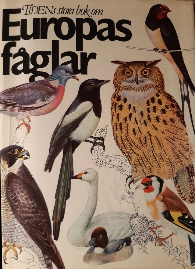 Tidens stora bok om Europas fåglar; Jiři Felix, Květoslav Hísek, Sven Mathiasson; 1980