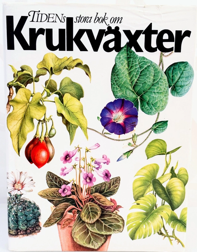 Tidens stora bok om rumsväxter; J. Haager; 1981