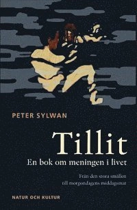 Tillit : en bok om meningen i livet : från den stora smällen till morgondagens middagsmat; P Sylwan; 2005