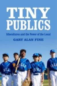 Tiny publics : a theory of group action and culture / Gary Alan Fine; Gary Alan Fine; 2012