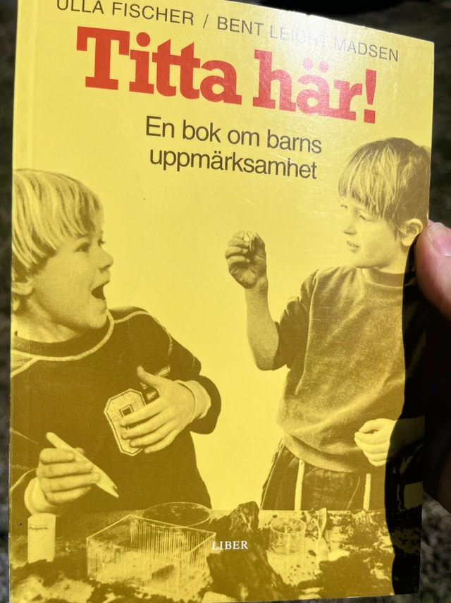 Titta här! - En bok om barns uppmärksamhet; Ulla Fischer, Bent Leicht Madsen; 1999
