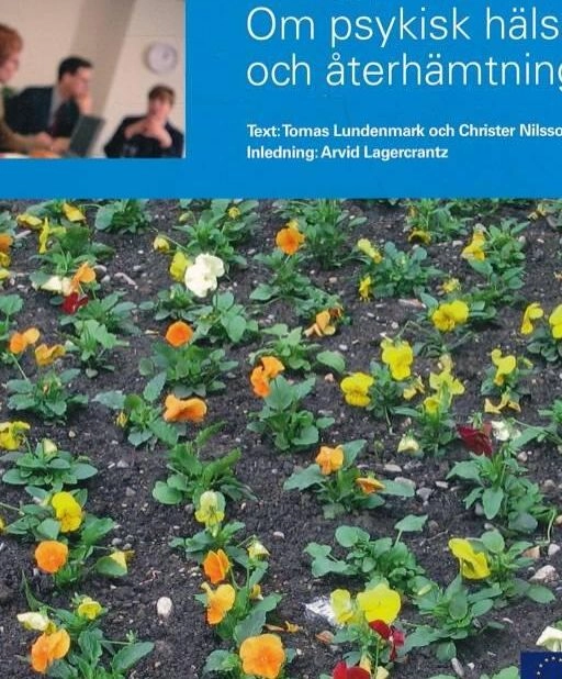 Tokig på jobbet : om psykisk hälsa och återhämtning; Tomas Lundenmark; 2006