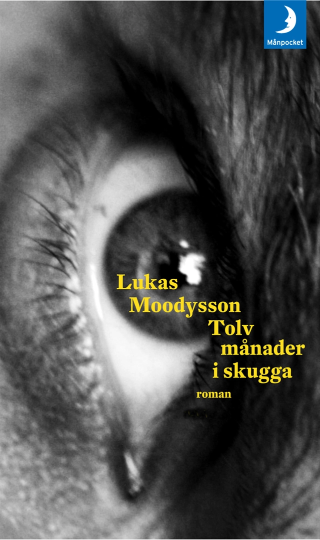 Tolv månader i skugga; Lukas Moodysson; 2013