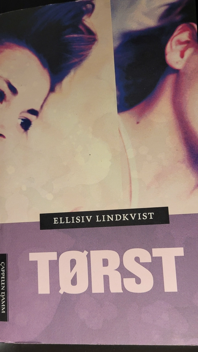Tørst : roman; Ellisiv Lindkvist; 2011