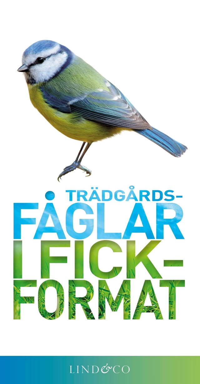 Trädgårdsfåglar i fickformat; Mark Ward; 2015