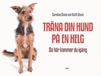 Träna din hund på en helg; Caroline Davis, Keith Davis; 2004