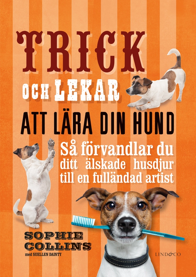 Trick och lekar att lära din hund : så förvandlar du ditt älskade husdjur..; Sophie Collins, Suellen Dainty; 2023