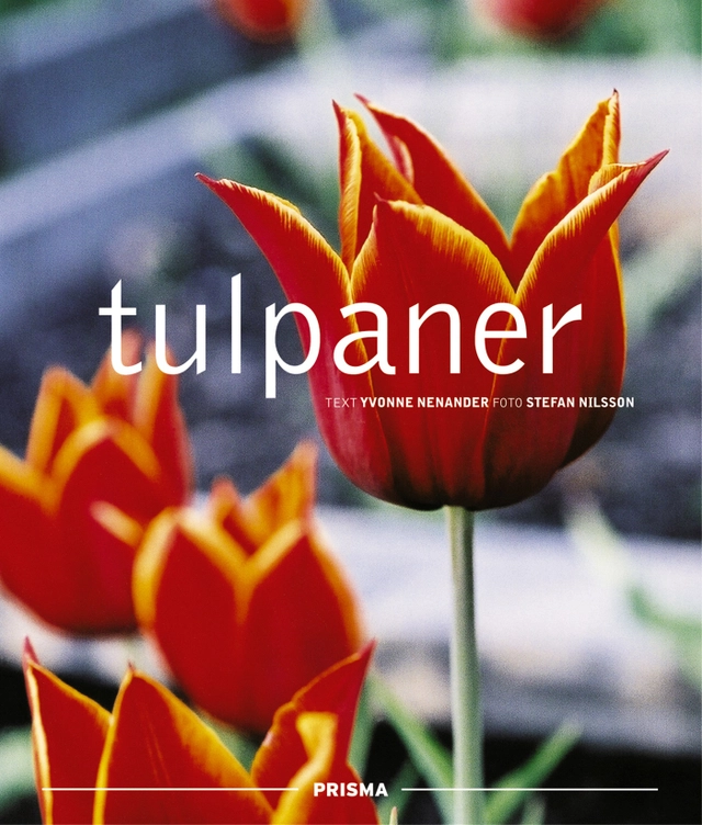 Tulpaner; Yvonne Nenander, Stefan Nilsson; 2001