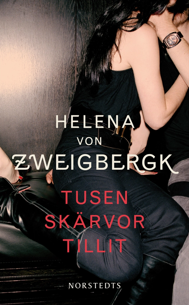 Tusen skärvor tillit; Helena von Zweigbergk; 2009