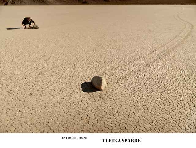 Ulrika Sparre : Ear to the Ground; Virginia MacKenny, Johan Redin, Jacquelyn Davis, Virginia Marano, Sue Spaid, Marti Manen; 2020