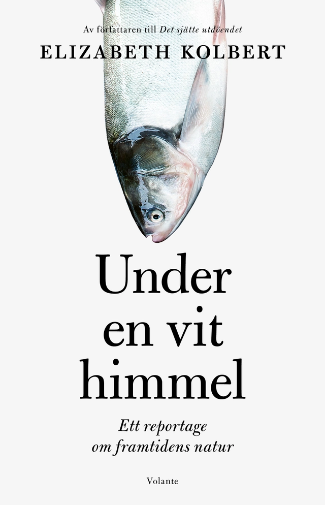 Under en vit himmel : ett reportage om framtidens natur; Elizabeth Kolbert; 2021
