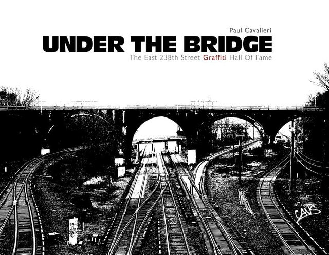 Under The Bridge; Paul Cavalieri; 2014