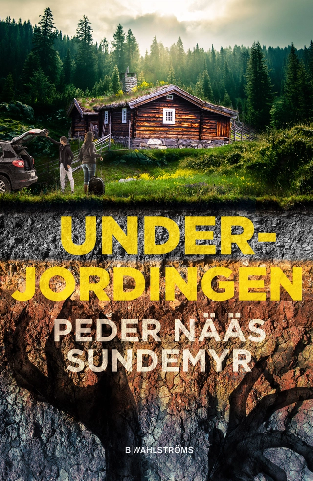 Underjordingen; Peder Nääs Sundemyr; 2021