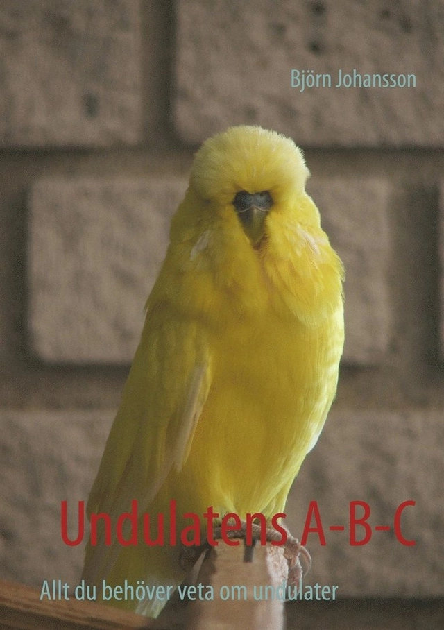 Undulatens A-B-C; Björn Johansson; 2020