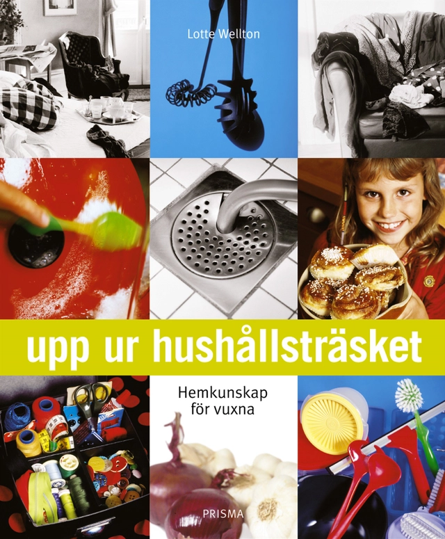 Upp ur hushållsträsket : Hemkunskap för vuxna; Lotte Wellton; 2002