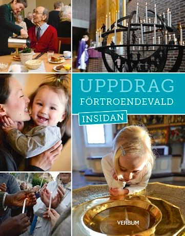 Uppdrag förtroendevald Insidan; Jonas Eek; 2015