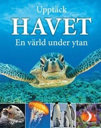 Upptäck havet : en värld under ytan; John Woodward; 2016
