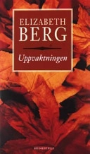 Uppvaktningen; Elizabeth Berg; 2001