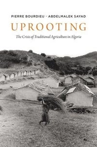 Uprooting : the crisis of traditional agriculture in Algeria; Pierre Bourdieu; 2020