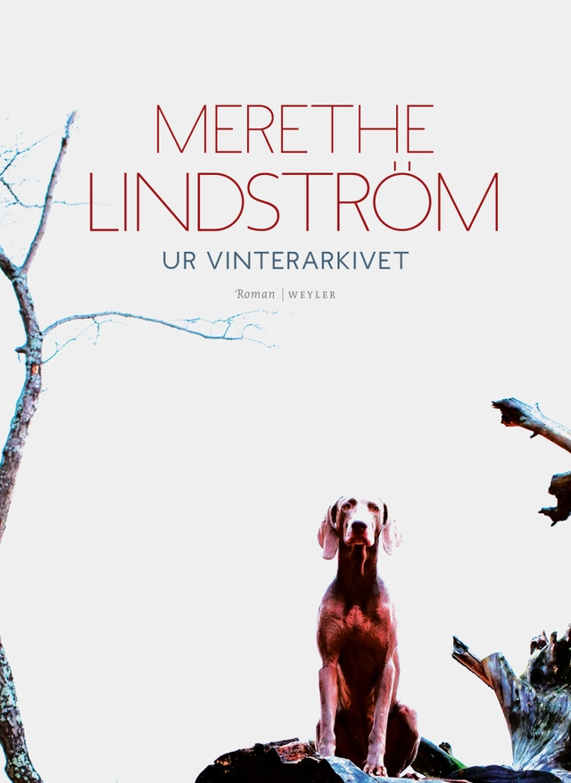 Ur vinterarkivet; Merethe Lindström; 2016