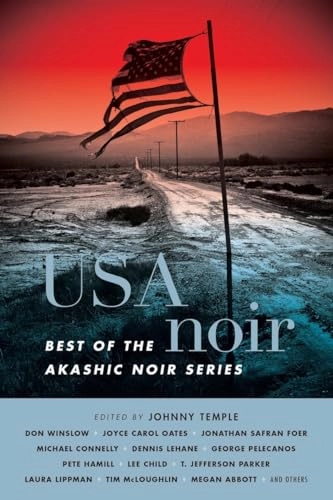 USA noir : best of the Akashic noir series; Johnny Temple; 2013