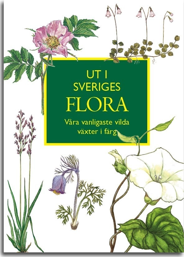 Ut i Sveriges Flora: våra vanligaste vilda växter i färg; Ingvar Nordin; 2017