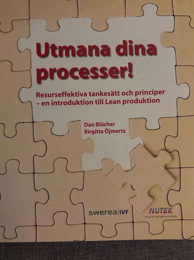 Utmana dina processer! : resurseffektiva tankesätt och principer : en introduktion till Lean produktion; Dan Blücher; 2008