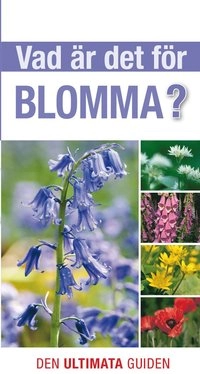 Vad är det för blomma?; David Brunie; 2015
