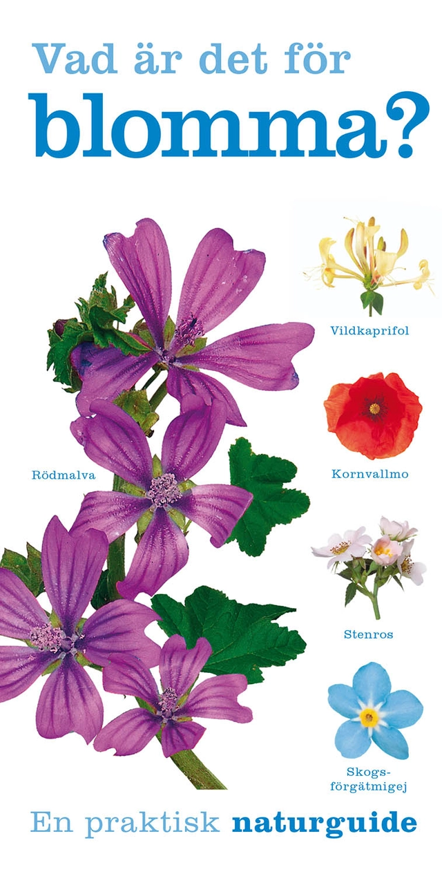 Vad är det för blomma?; David Burnie; 2020