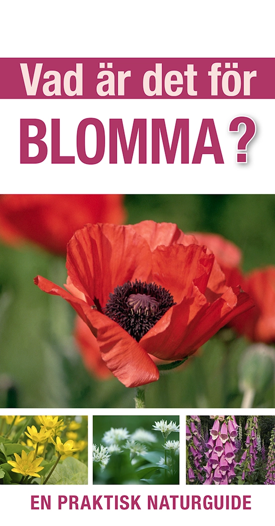 Vad är det för blomma? : en praktisk naturguide; David Burnie; 2023