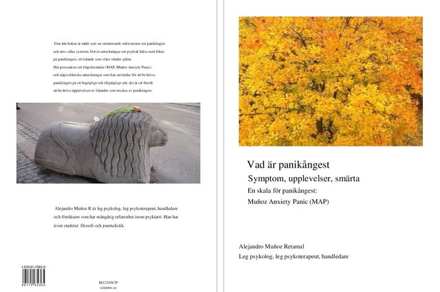 Vad är panikångest : symptom, upplevelser, smärta - en skala för ...
