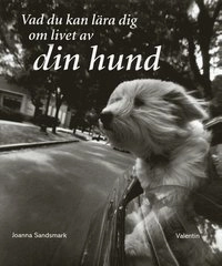 Vad du kan lära dig om livet av din hund; Joanna Sandsmark; 2005