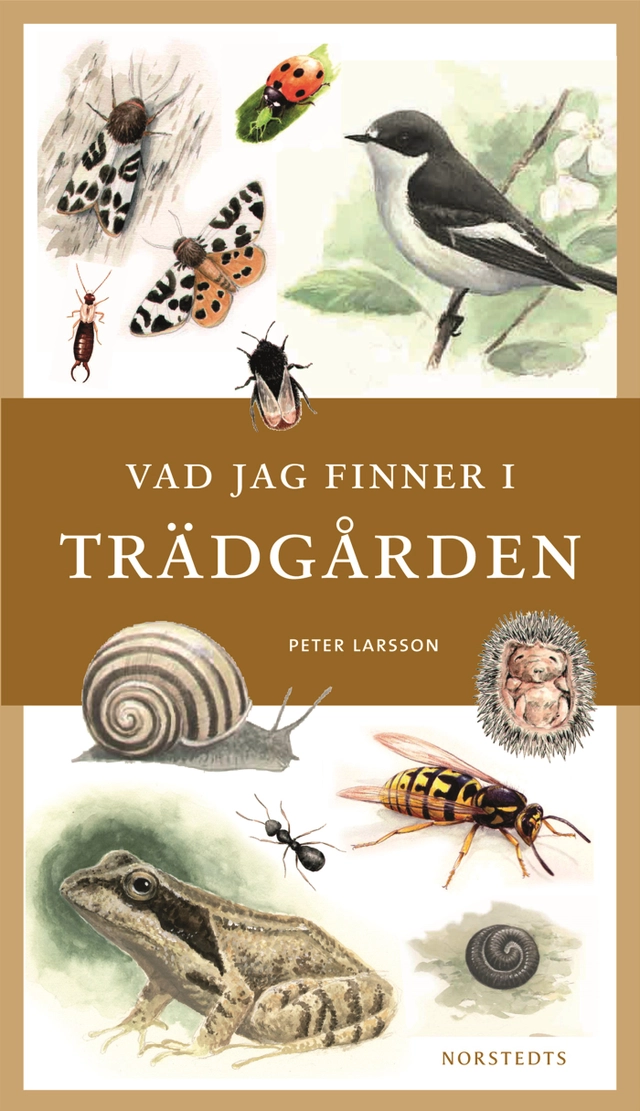 Vad jag finner i trädgården; Peter Larsson; 2010