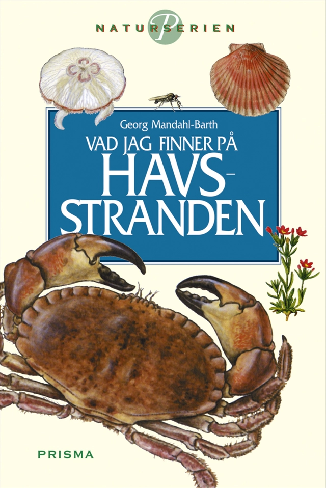 Vad jag finner på havsstranden; Georg Mandahl-Barth; 2000
