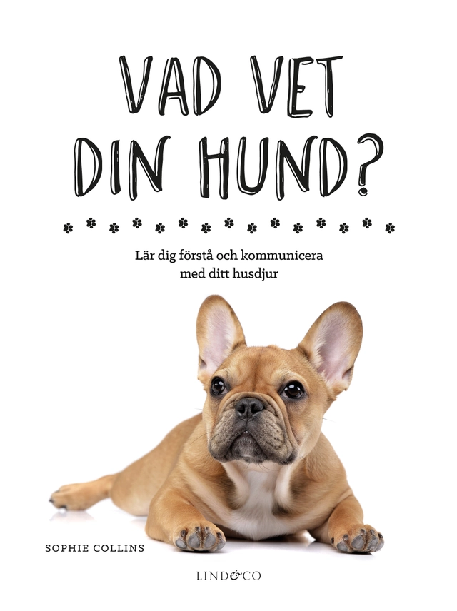 Vad vet din hund? : lär dig förstå och kommunicera med ditt husdjur; Sophie Collins; 2018