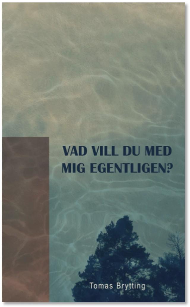Vad vill du med mig egentligen?; Tomas Brytting; 2025