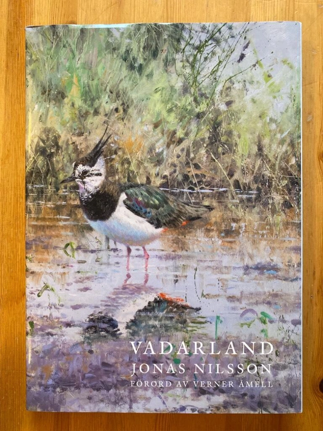 Vadarland : oljemålningar, akvareller, skisser; Jonas Nilsson; 2016