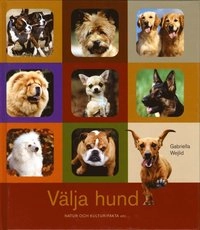 Välja hund; Gabriella Wejlid; 2005