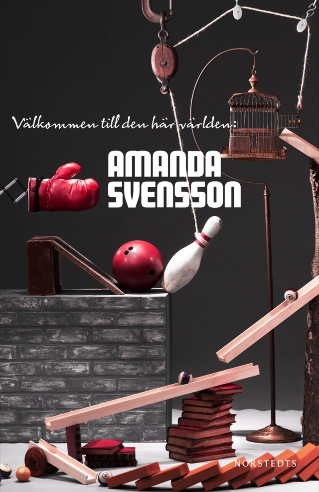 Välkommen till den här världen:; Amanda Svensson; 2011