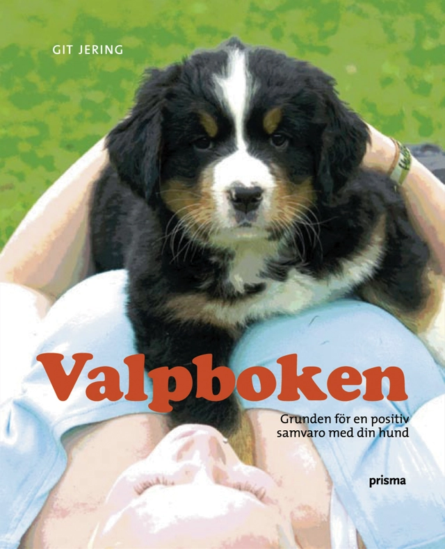 Valpboken : grunden för en positiv samvaro med din hund; Git Jering; 2006