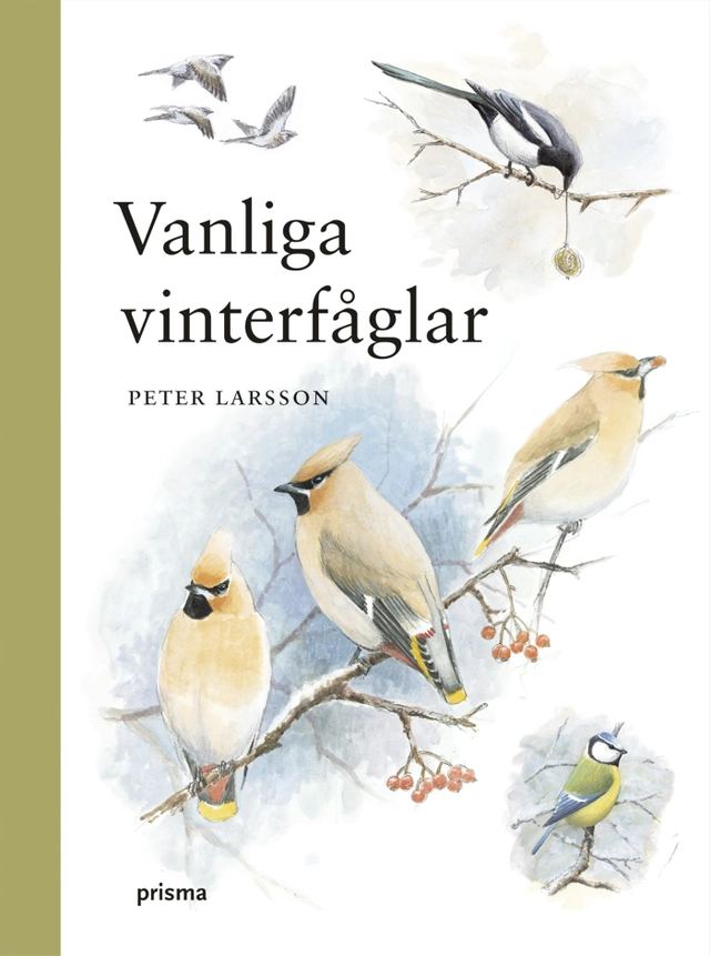 Vanliga vinterfåglar; Peter Larsson; 2007