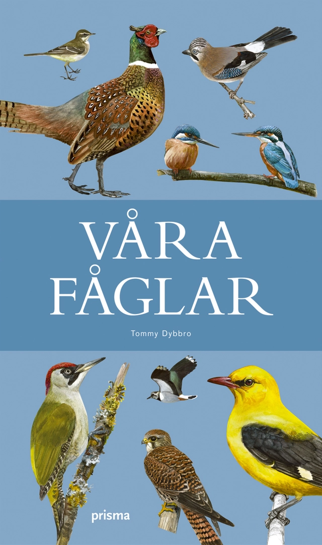 Våra fåglar; Peter Öhman, Tommy Dybbro; 2008