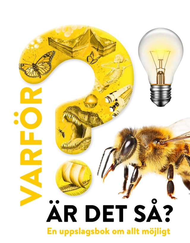 Varför är det så? : en uppslagsbok om allt möjligt; John Hort, Adam Benton, Peter Bull, Stuart Jackson-Carter, Arran Lewis, Lena Kamhed, Eva Andreasson; 2025