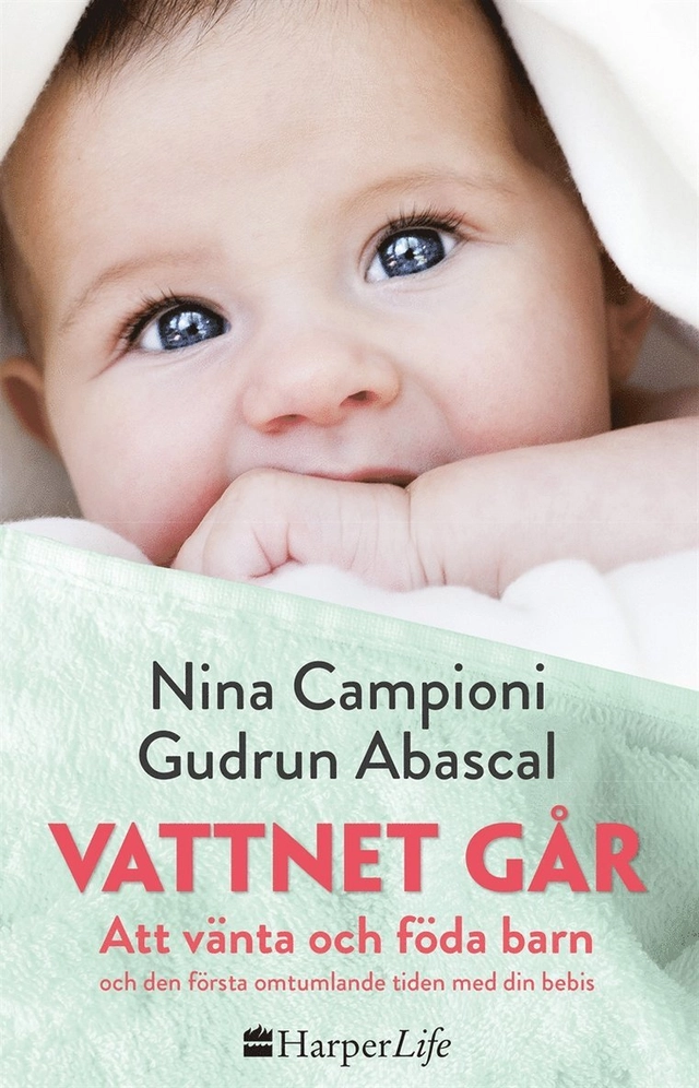 Vattnet går : att vänta och föda barn och den första omtumlande tiden med din bebis; Nina Campioni, Gudrun Abascal, Elsa Paulson; 2017