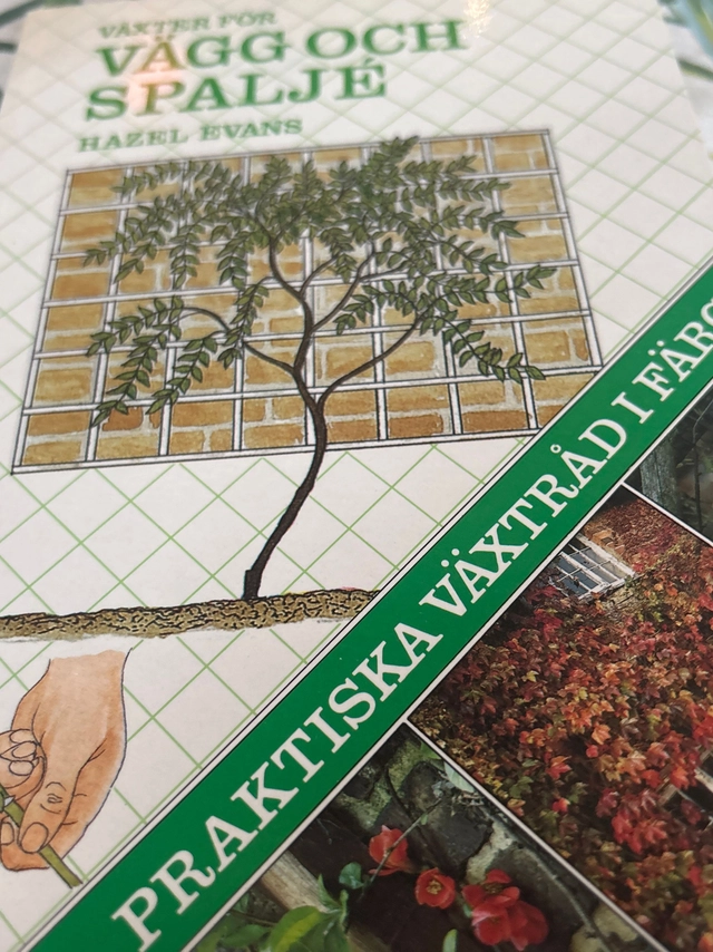 Växter för vägg och spaljéPraktiska växtråd i färg; Hazel Evans; 1984