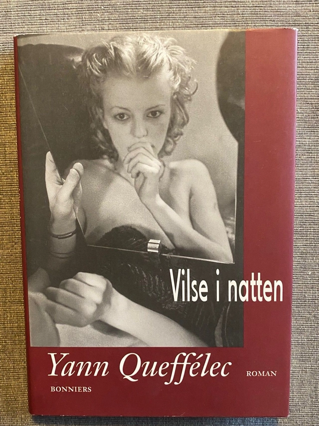 Vilse i natten : [roman]; Yann Queffélec; 1995