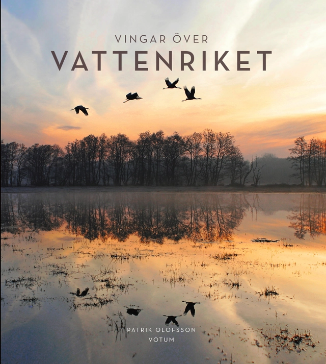 Vingar över Vattenriket; Patrik Olofsson; 2017