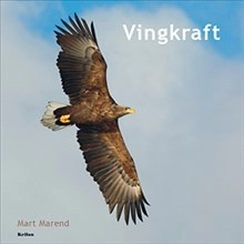 Vingkraft; Mart Marend; 2012